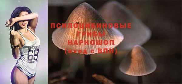 ешки Арсеньев
