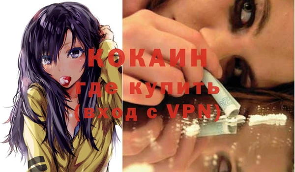 ешки Арсеньев