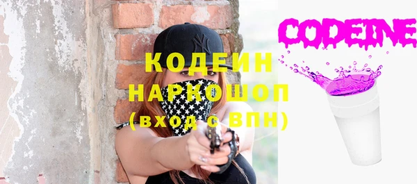 ешки Арсеньев