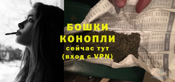 ешки Арсеньев